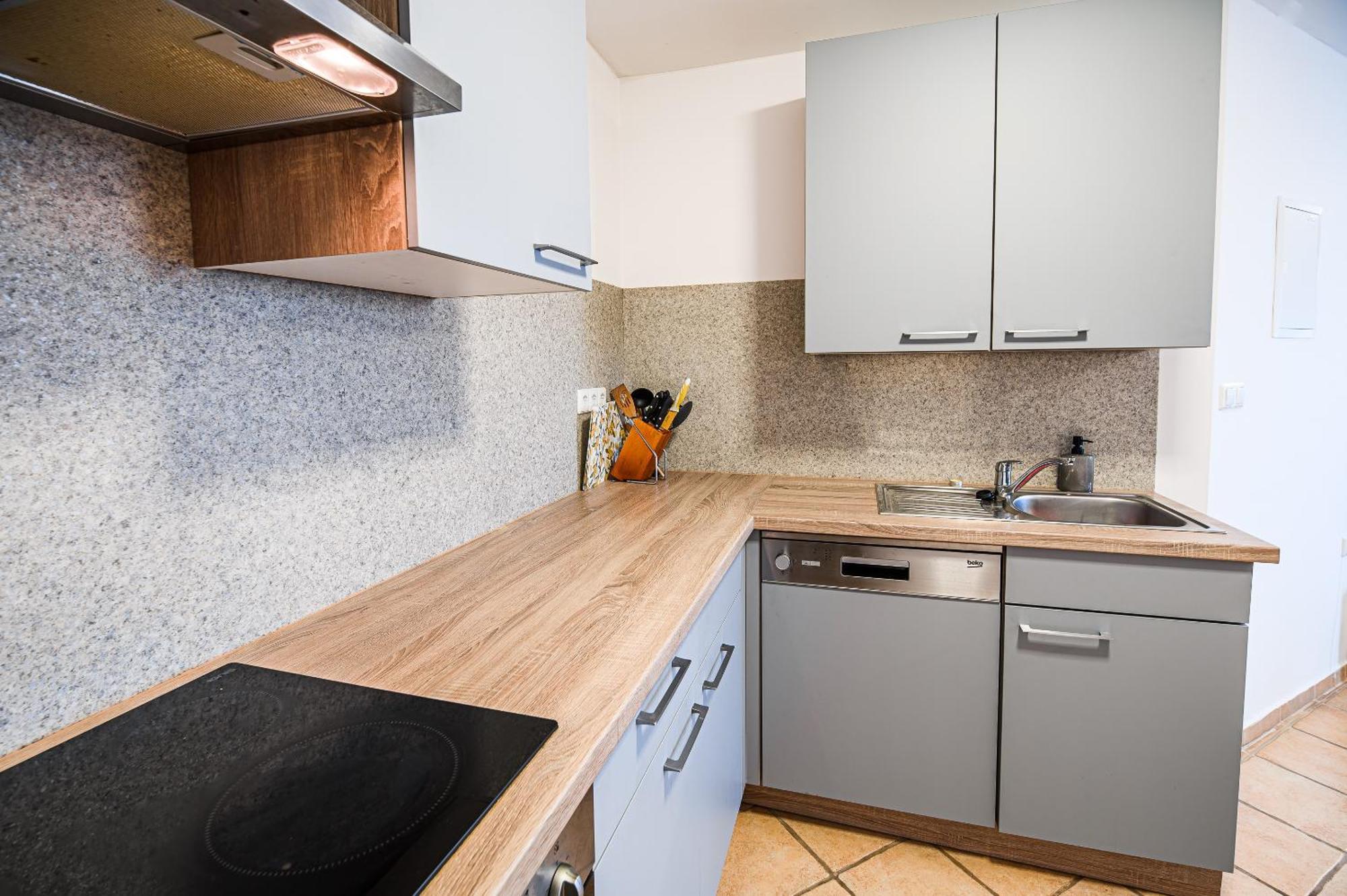 Apartment Rimljancek Leskovec pri Krskem 部屋 写真